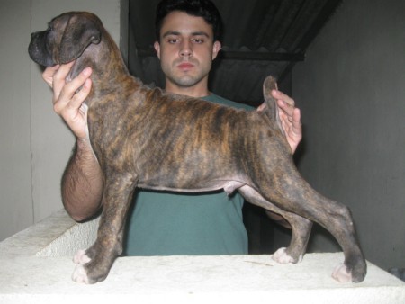 Black - Belo Horizonte - MG